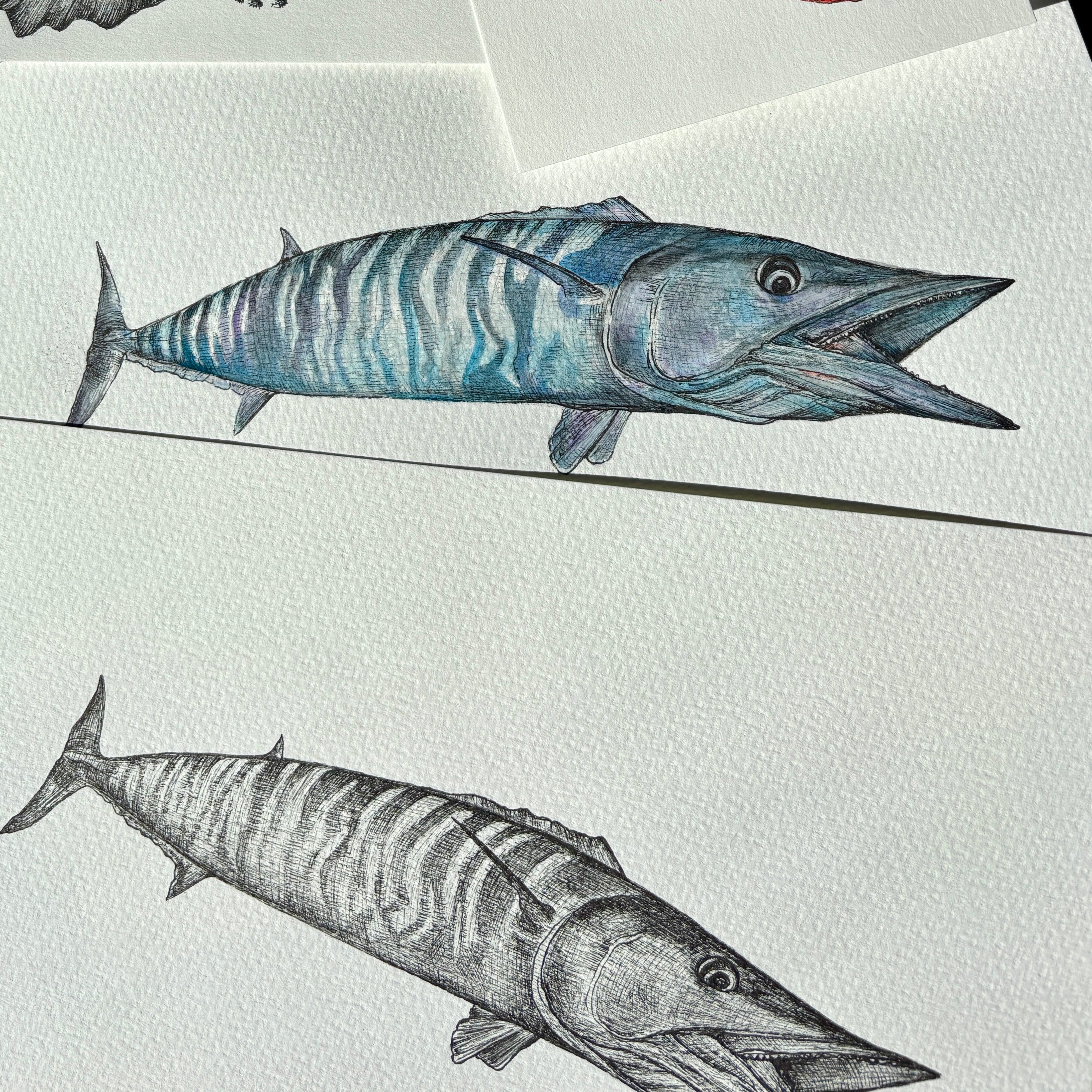 The Florida Fish Series